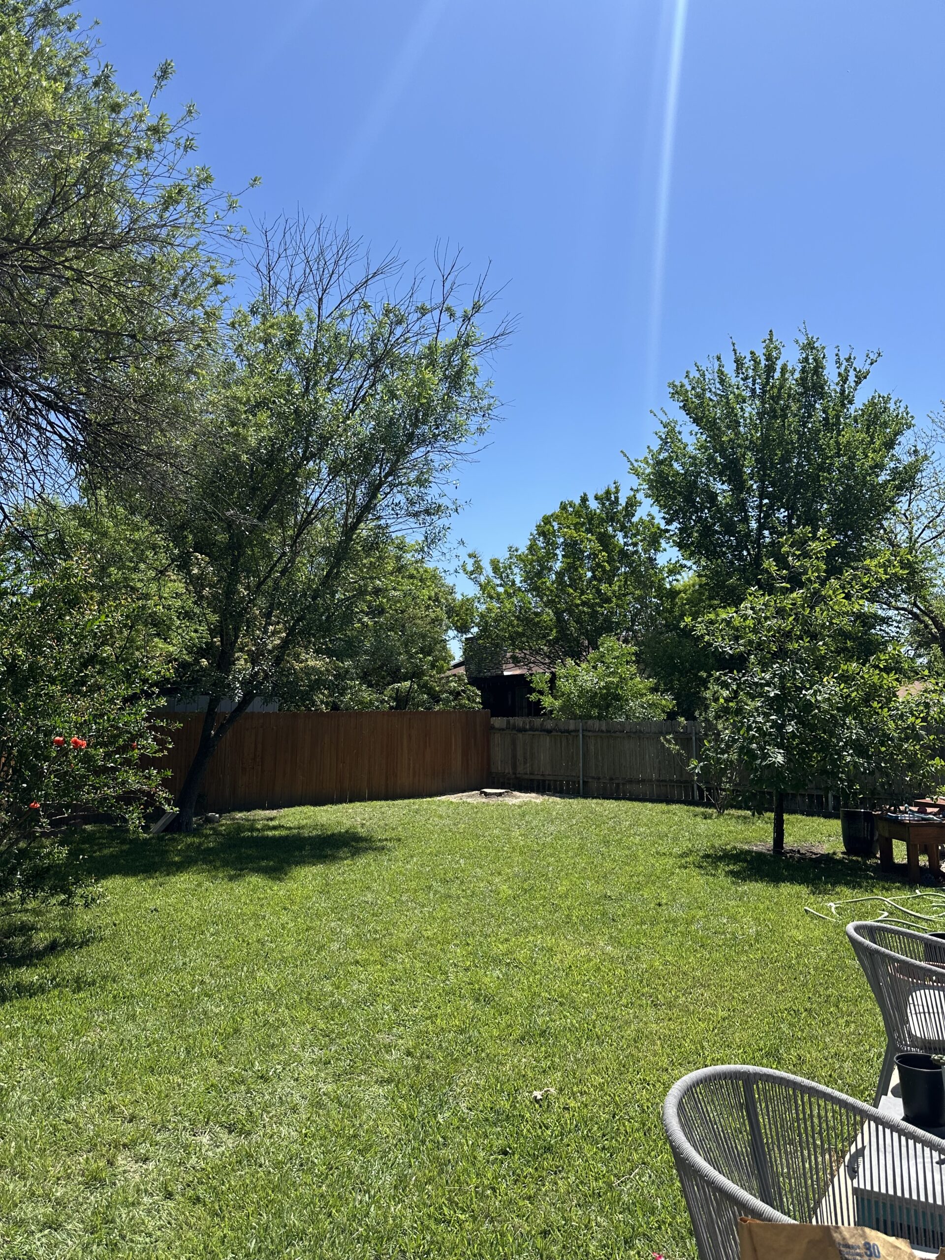 A sunlit backyard with green grass, several trees, a wooden fence, and outdoor chairs in the foreground under a clear blue sky.