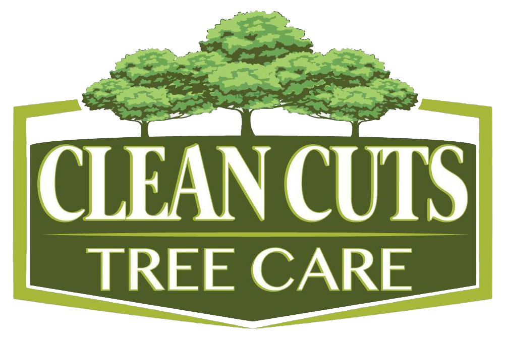 Clean Cuts Tree Care Logo