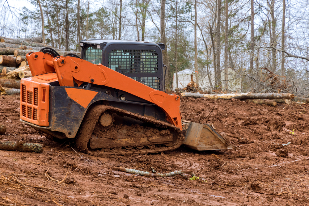 An orange skid steer loader sits on muddy ground at a logging site, surrounded by cut tree trunks and forest in the background.
