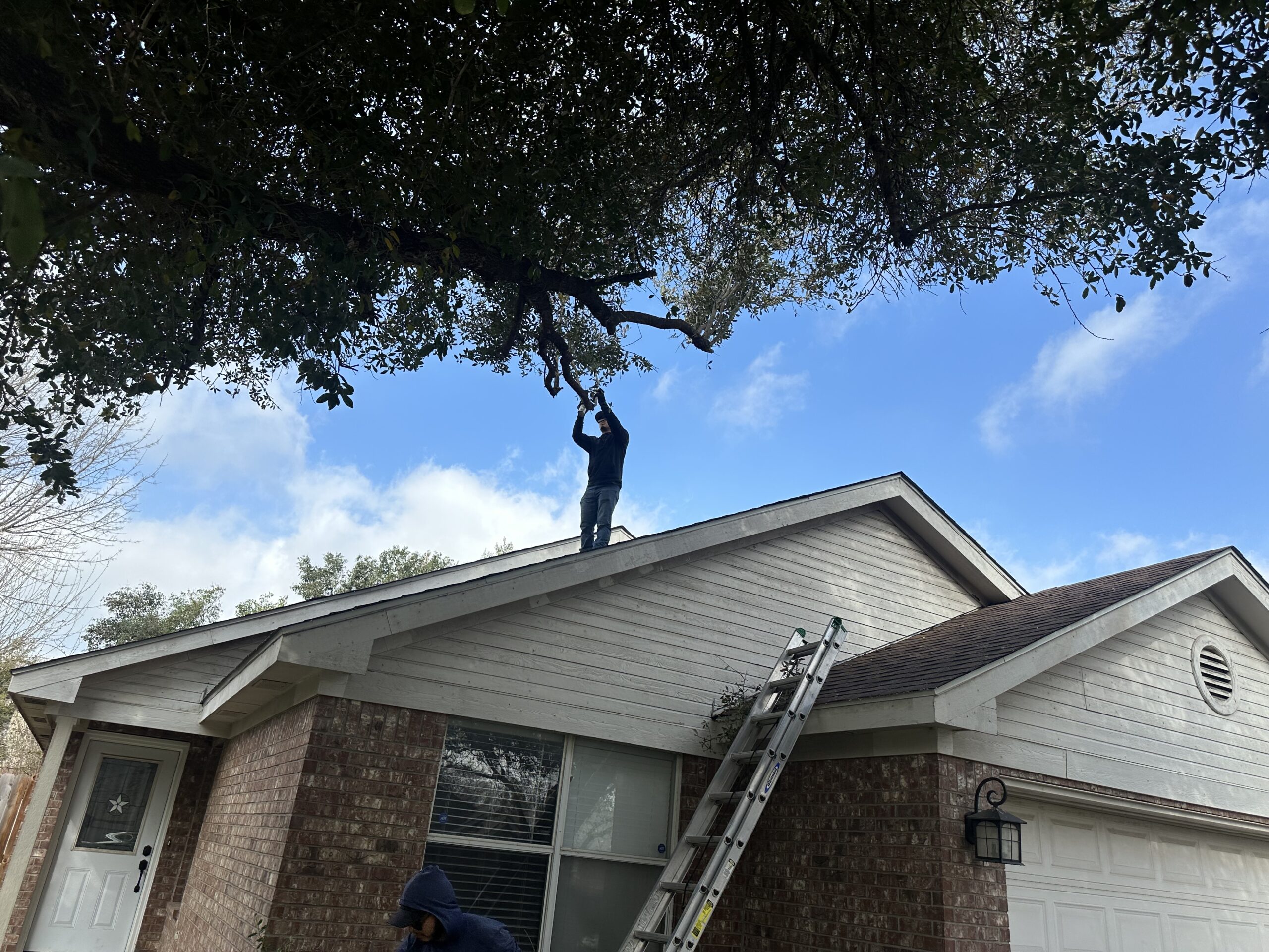 A person stands on a house roof using a saw to cut a large tree branch, while another person stands below next to a ladder leaning against the house.