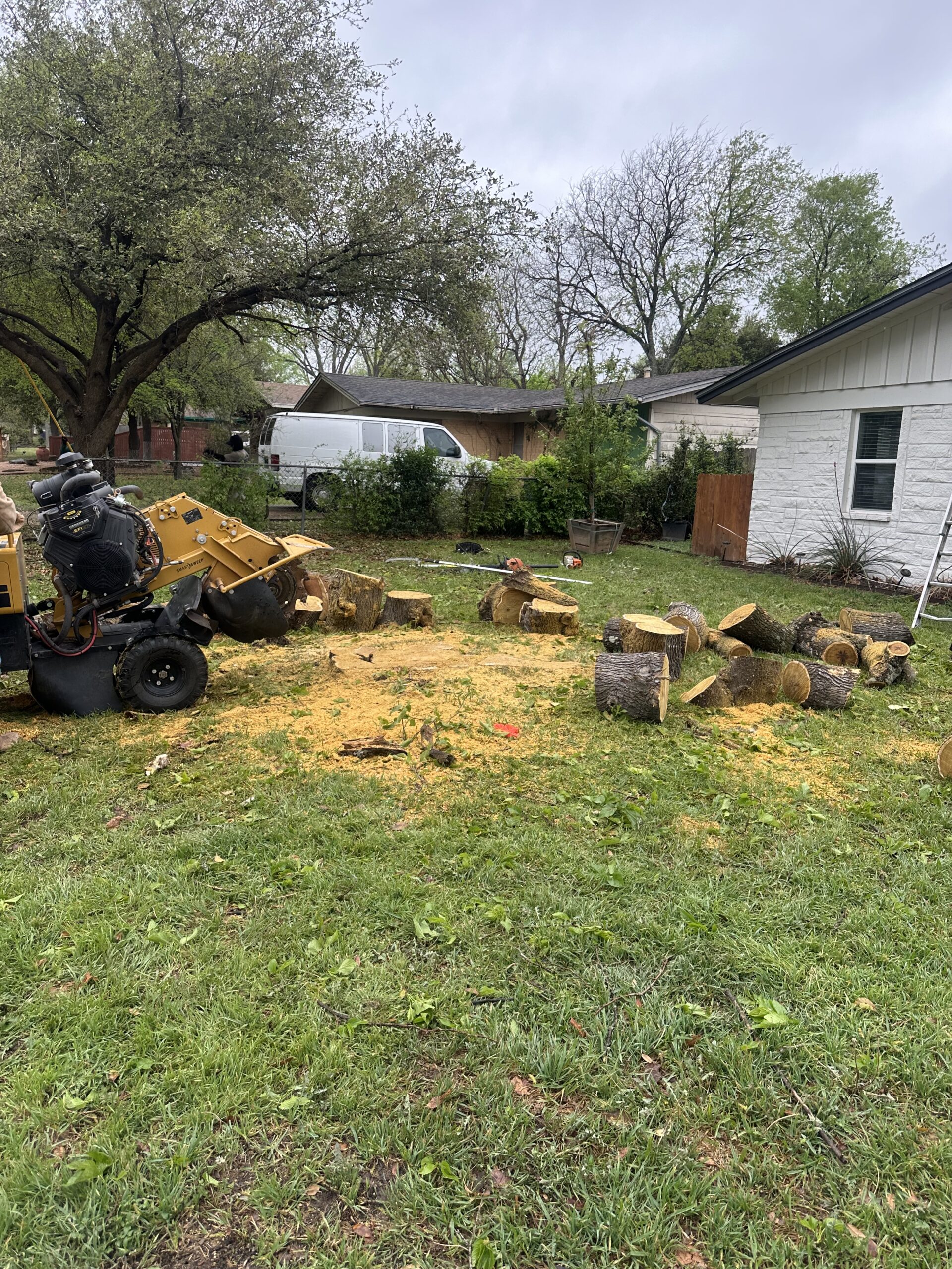 Several large tree logs and sawdust are scattered across a grassy yard, with a wood chipper and white house visible in the background.