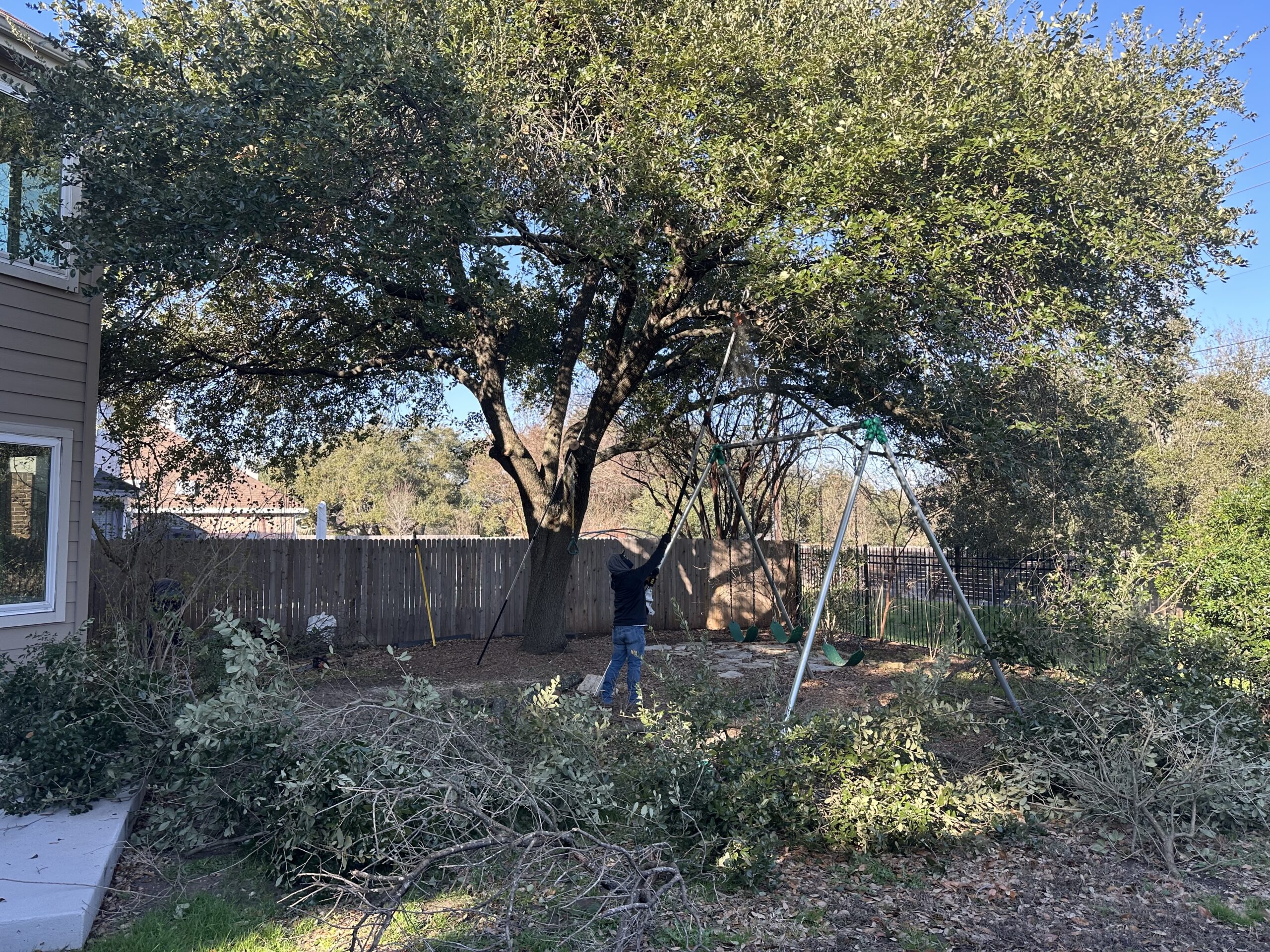 A person stands in a backyard near a large tree, with cut branches on the ground and a swing set to the right.