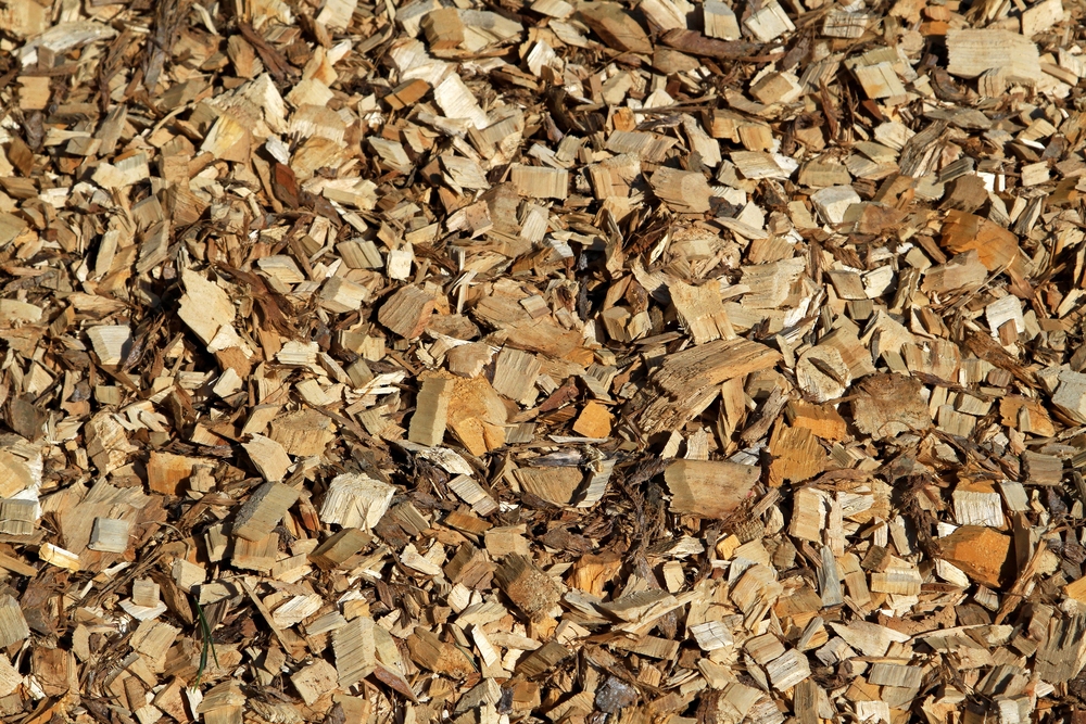 A close-up view of a pile of light brown wood chips, showing irregularly shaped pieces of various sizes.